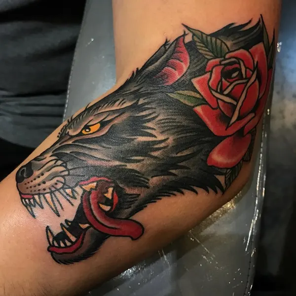Tiger, Animal