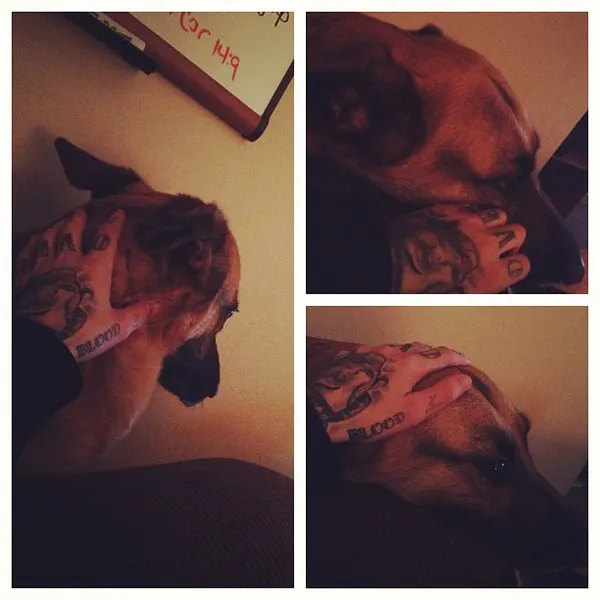 Sloo Tattoos