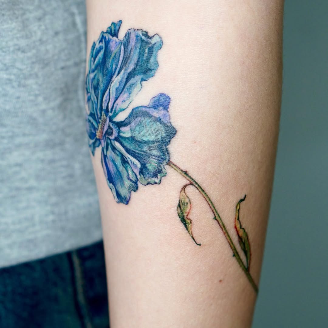 Flower, Rose