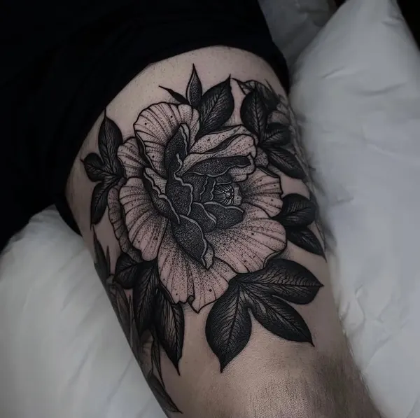 Flower, Rose