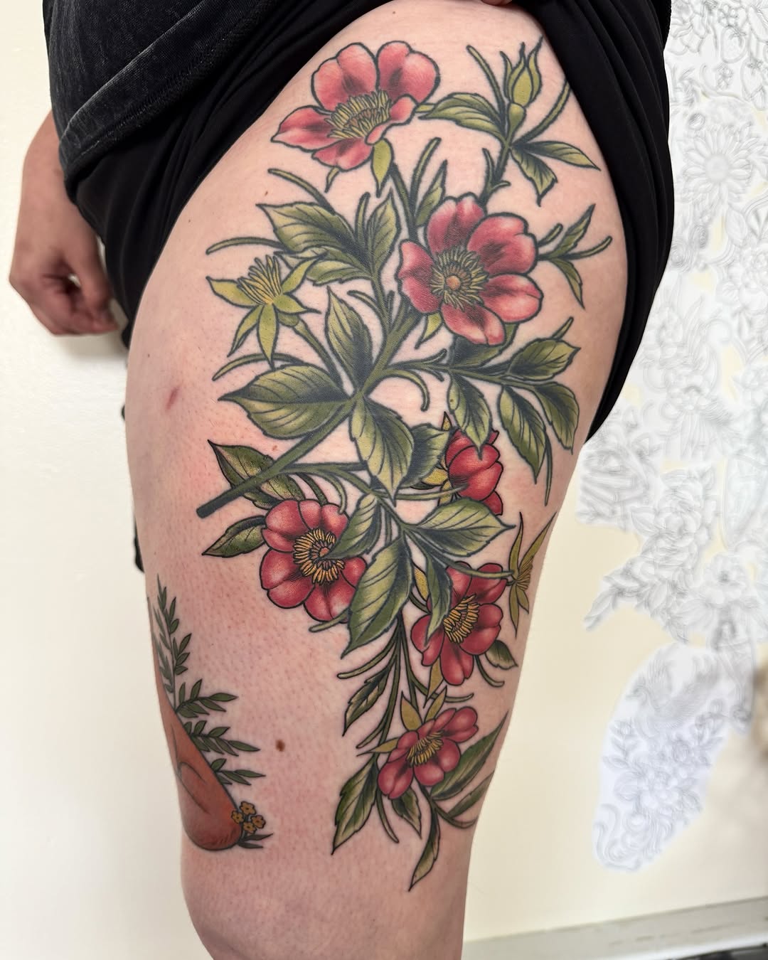 Flower, Rose