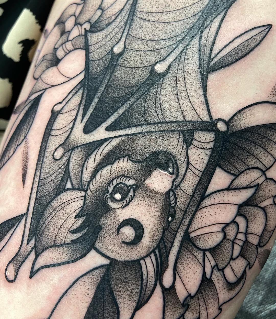 sarastigmata