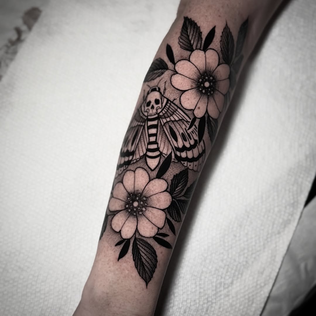 Animal, Nature