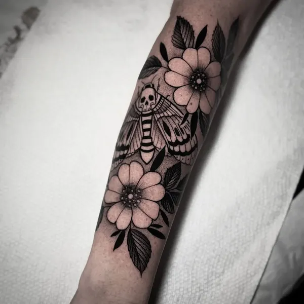 Animal, Nature