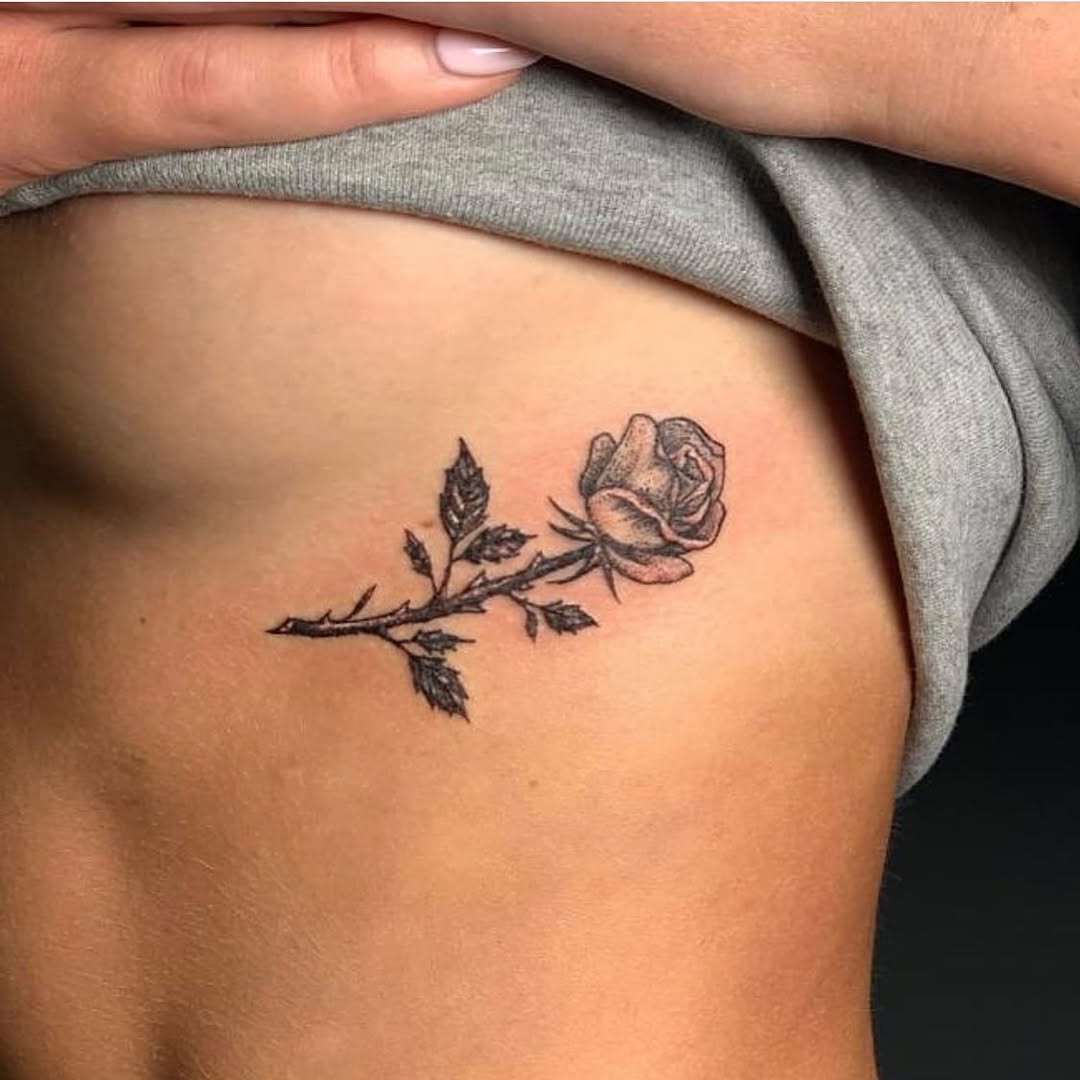 Flower, Rose