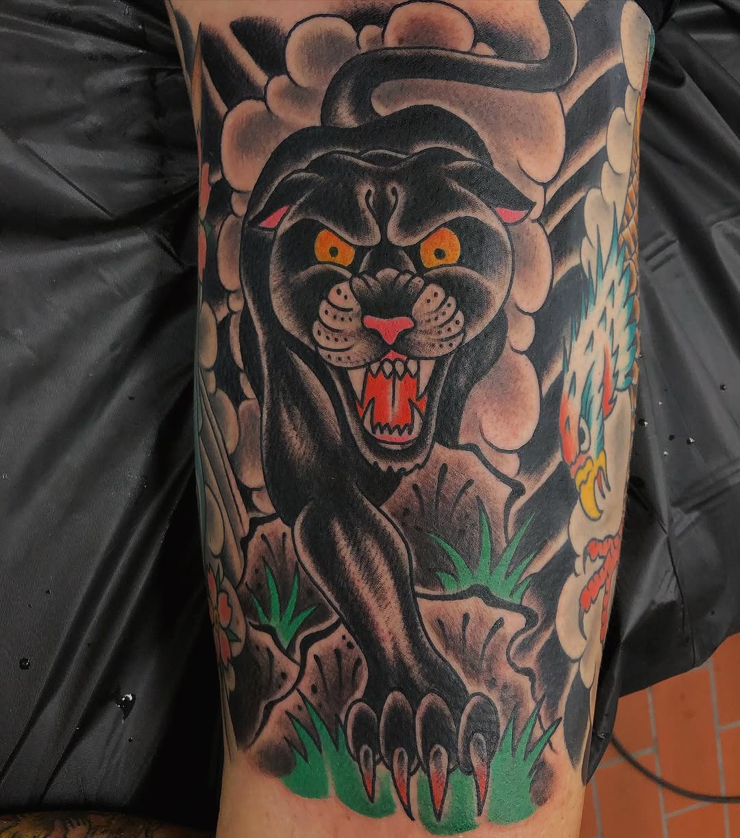 Tiger, Animal