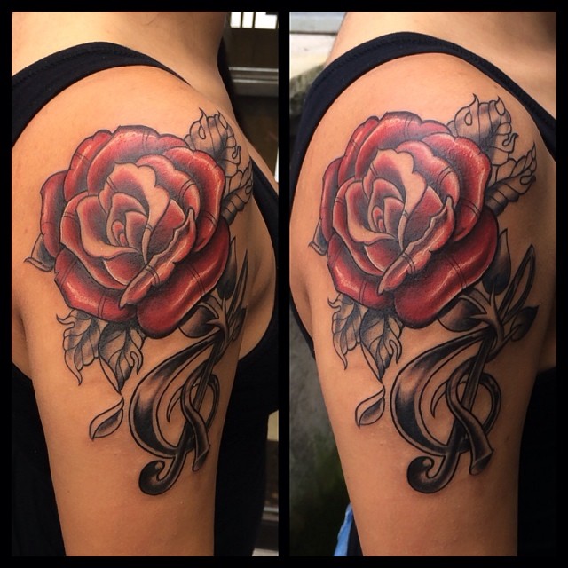 Flower, Rose