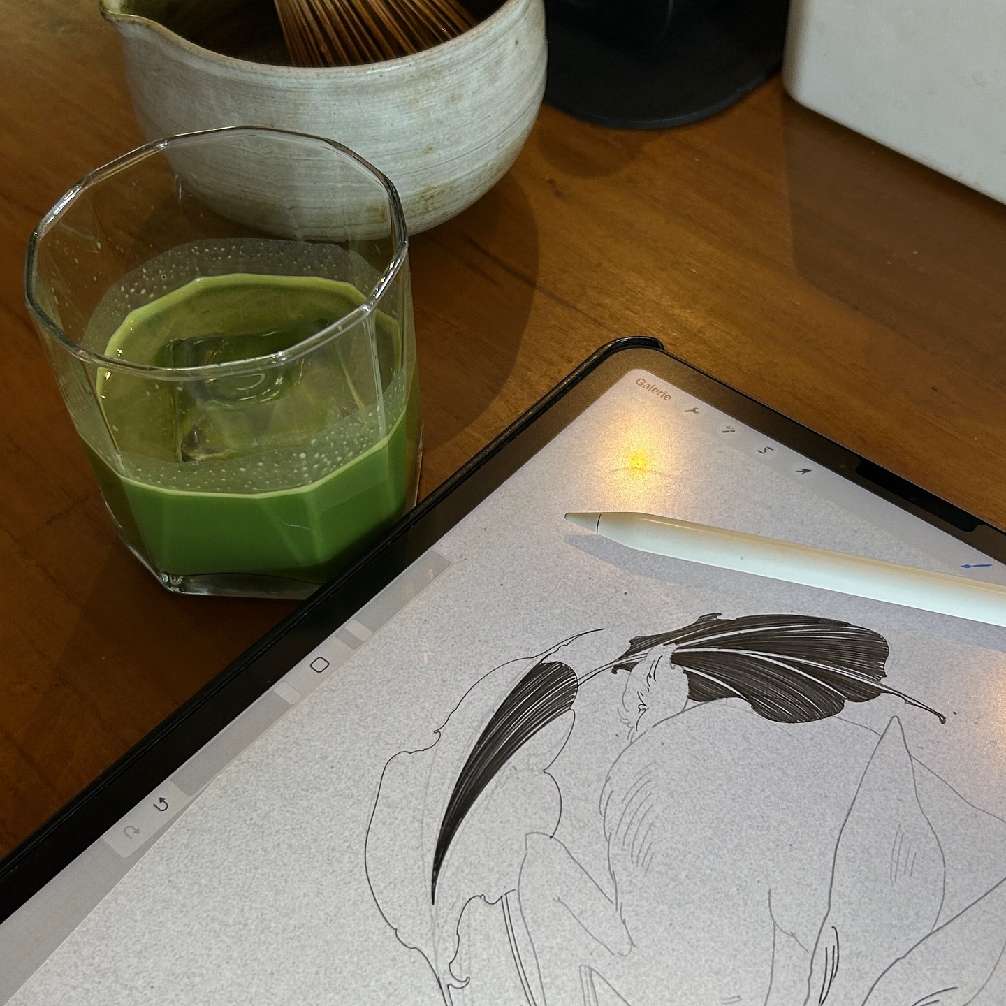 Animal, 토끼