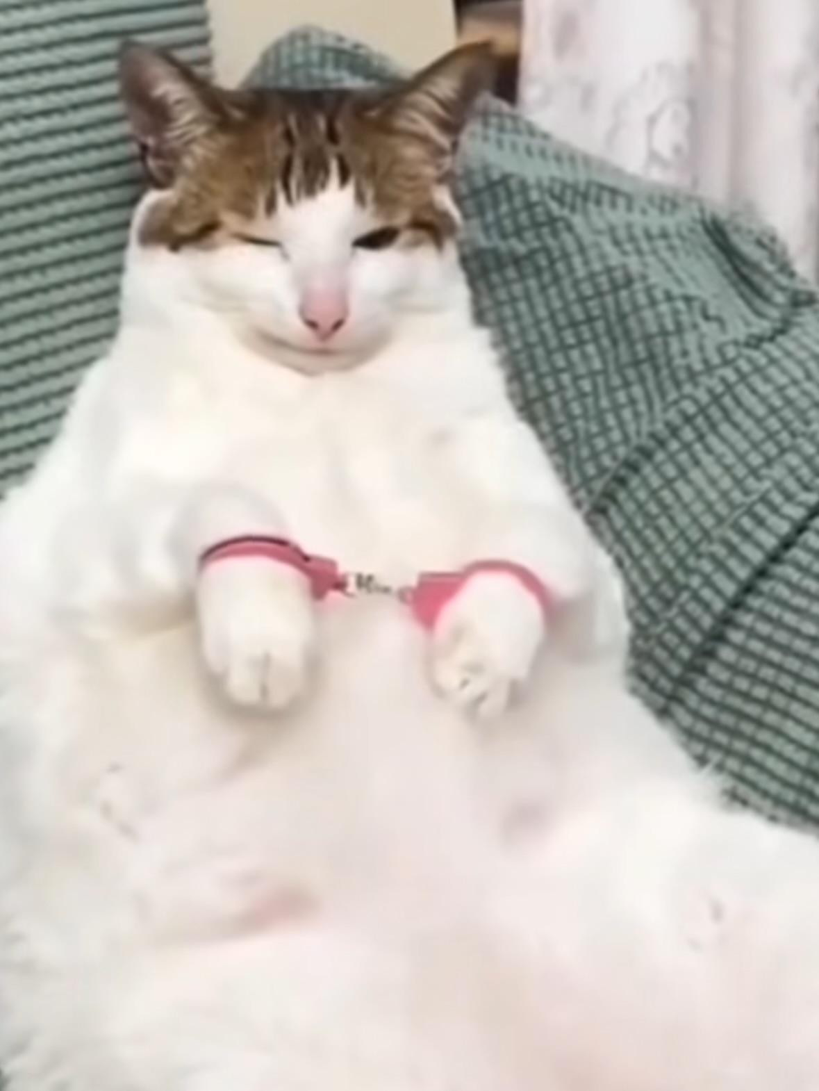 삼각형