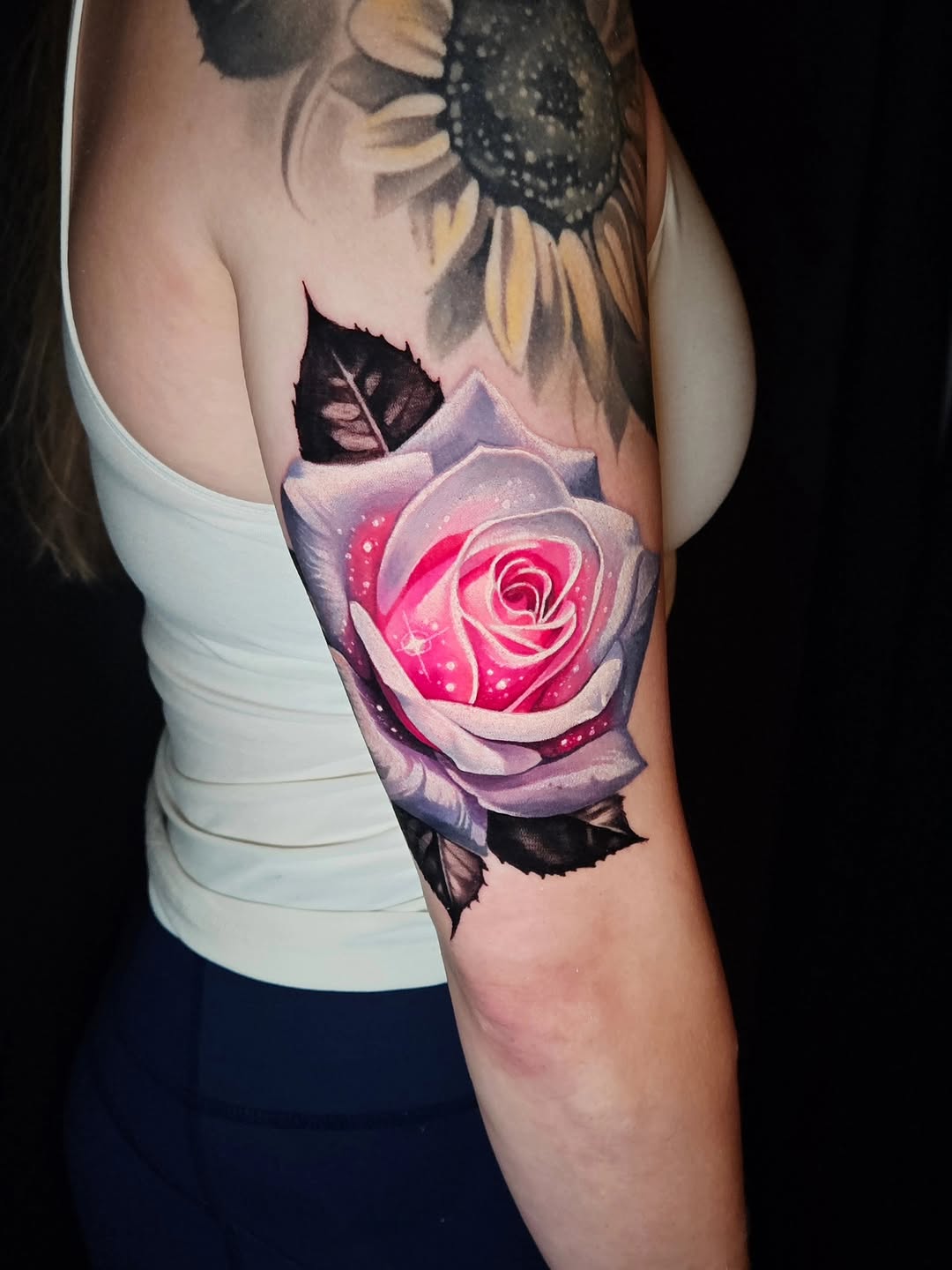 Flower, Rose, Nature