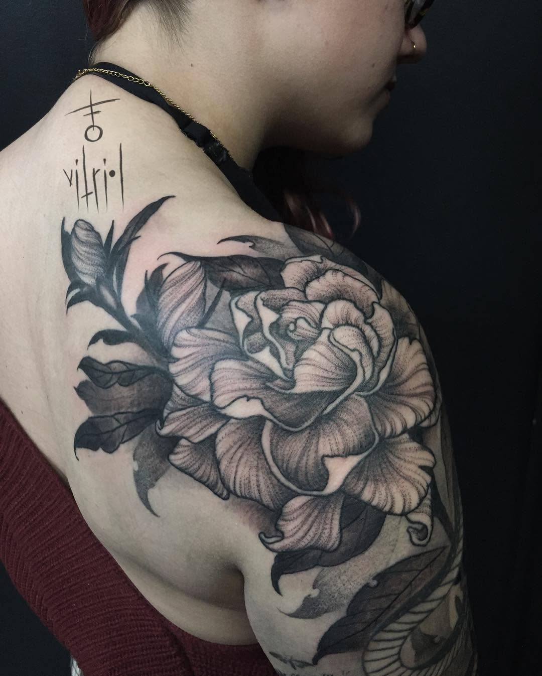 Flower, Rose, Nature
