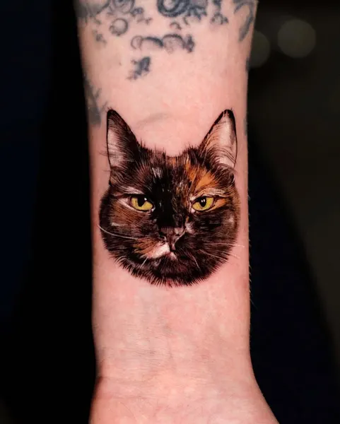 Animal