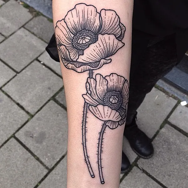 Flower, Rose