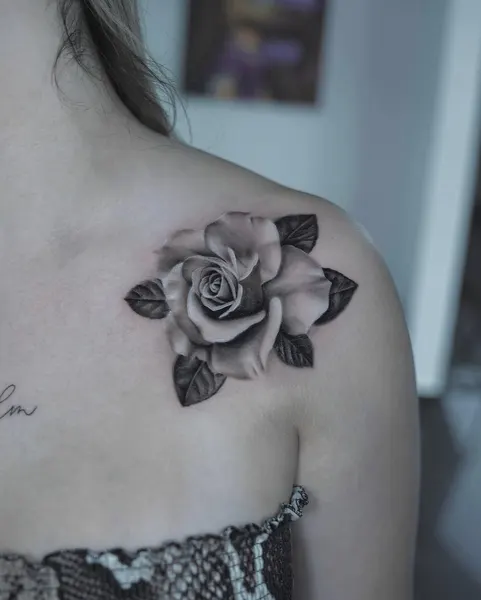 Flower, Rose, Nature