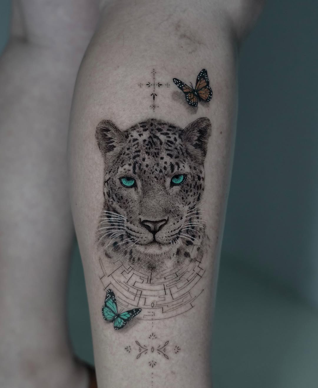 Animal