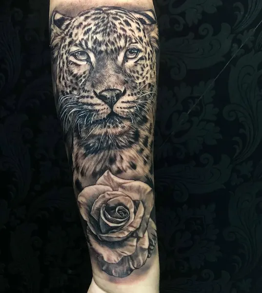 Animal