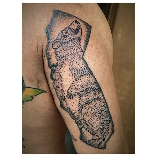 Animal
