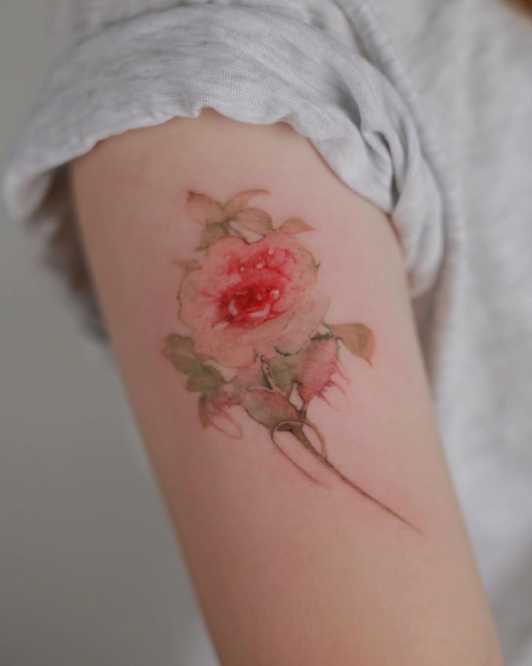 Flower, Rose