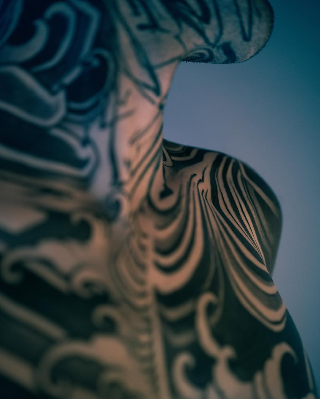 fibs_