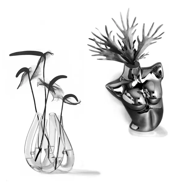plantsnpokes