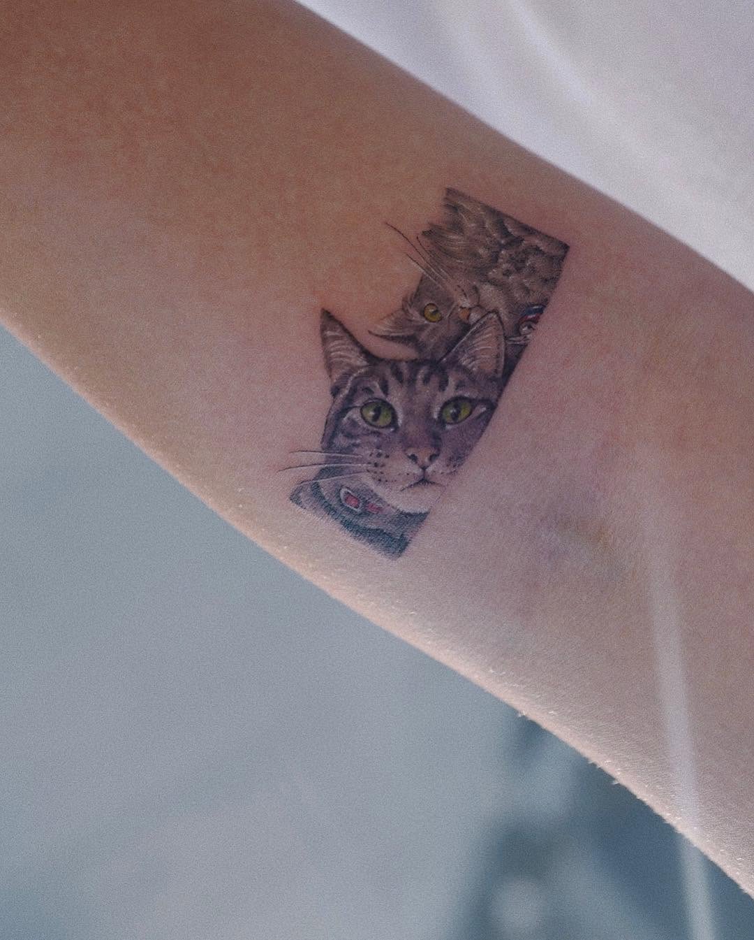 soltattoo