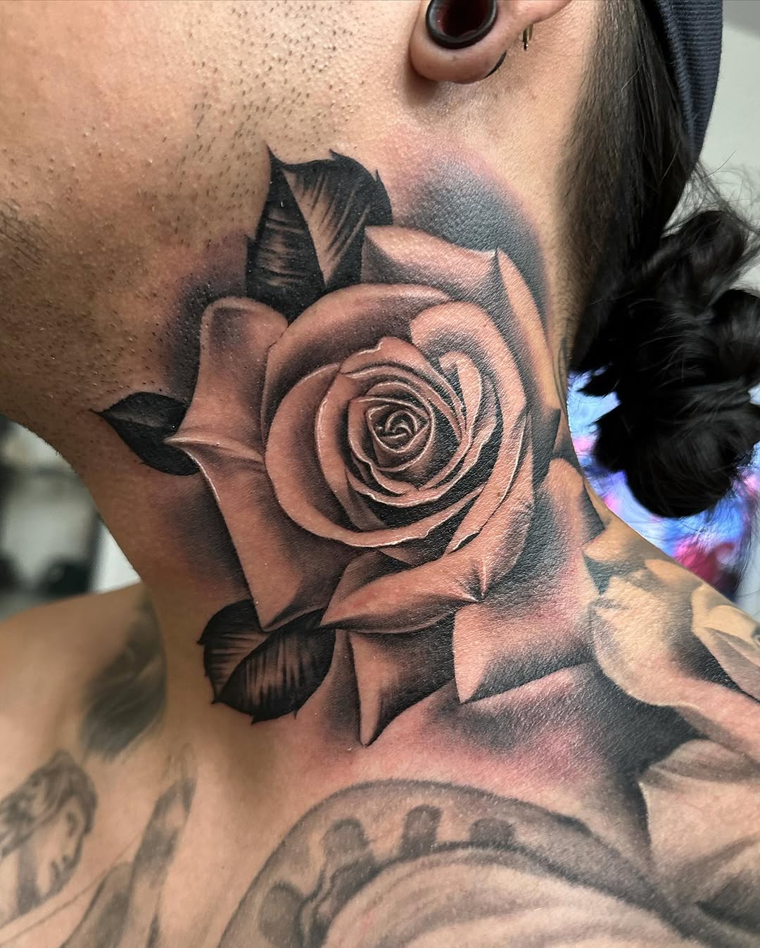 Flower, Rose, Nature
