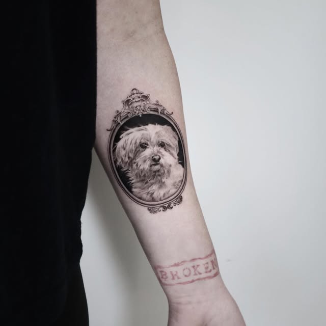 Animal