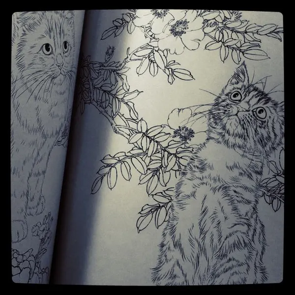 Animal