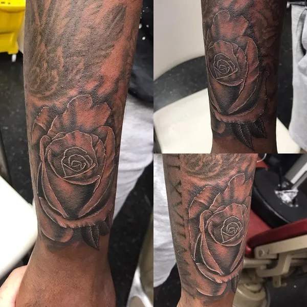 Flower, Rose