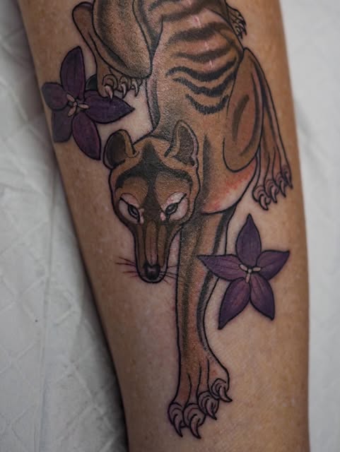 Tiger, Animal