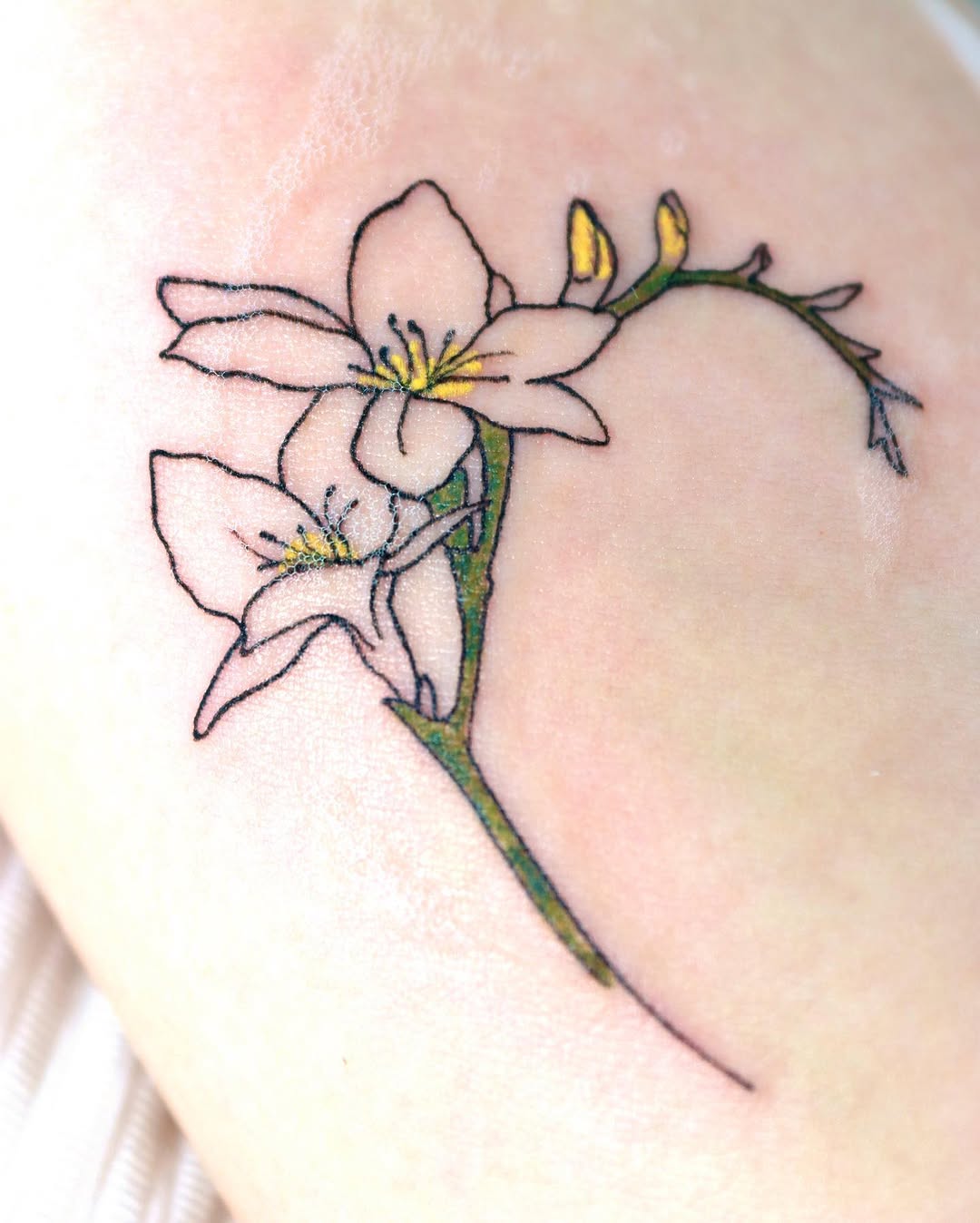 Flower