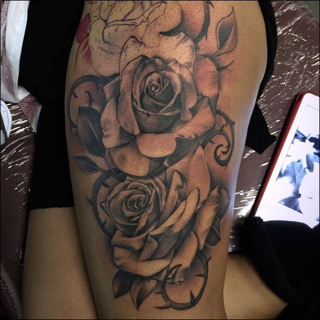 Flower, Rose