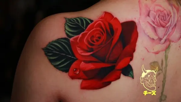 Flower, Rose, Nature