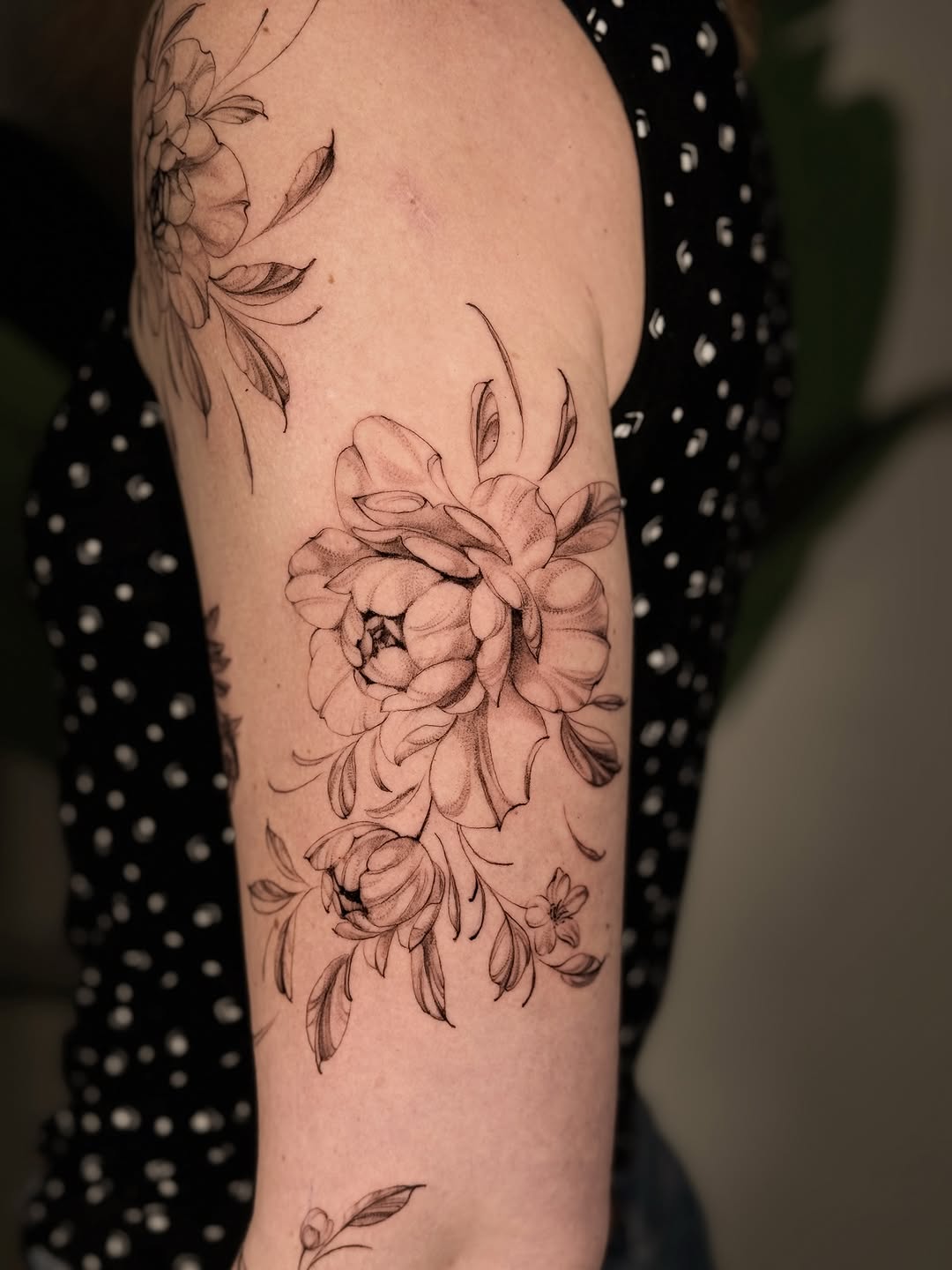 Flower, Rose, Nature