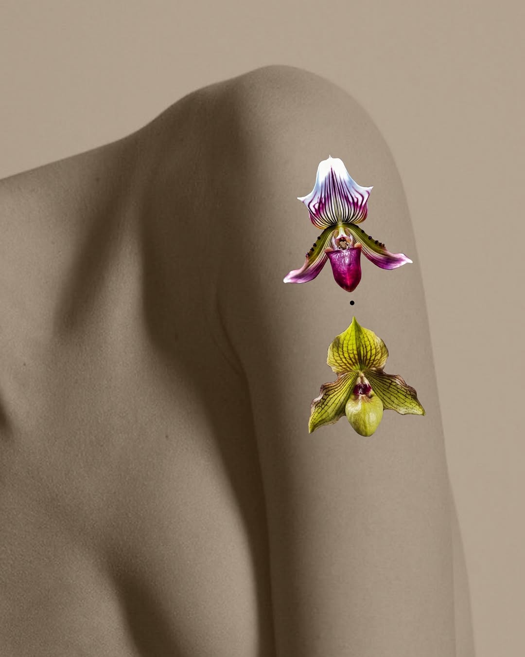 Flower, 히비스커스