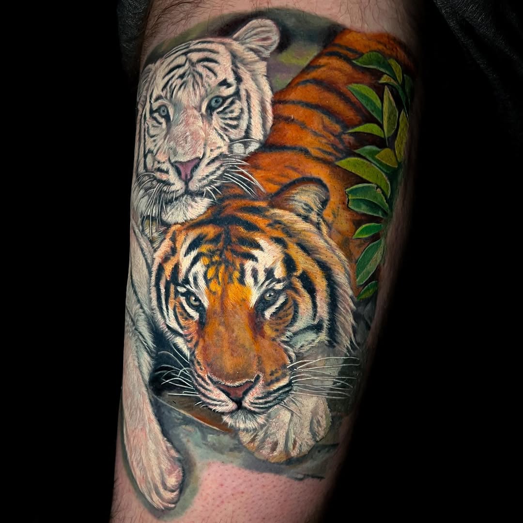 Tiger