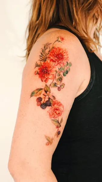Flower, Rose, Nature
