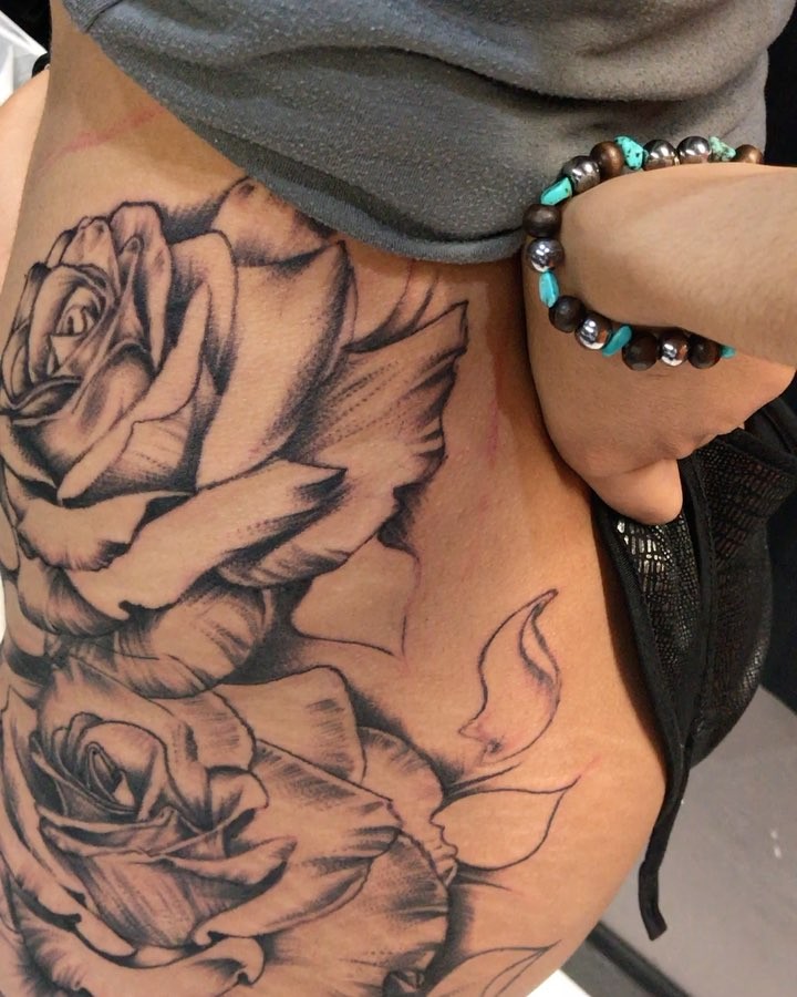 Flower, Rose, Nature