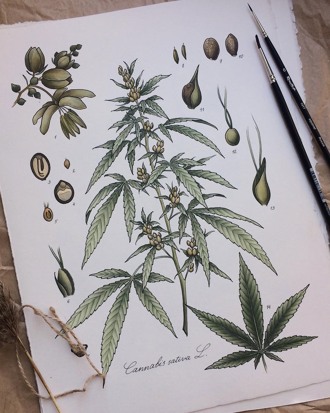 fflowerporn