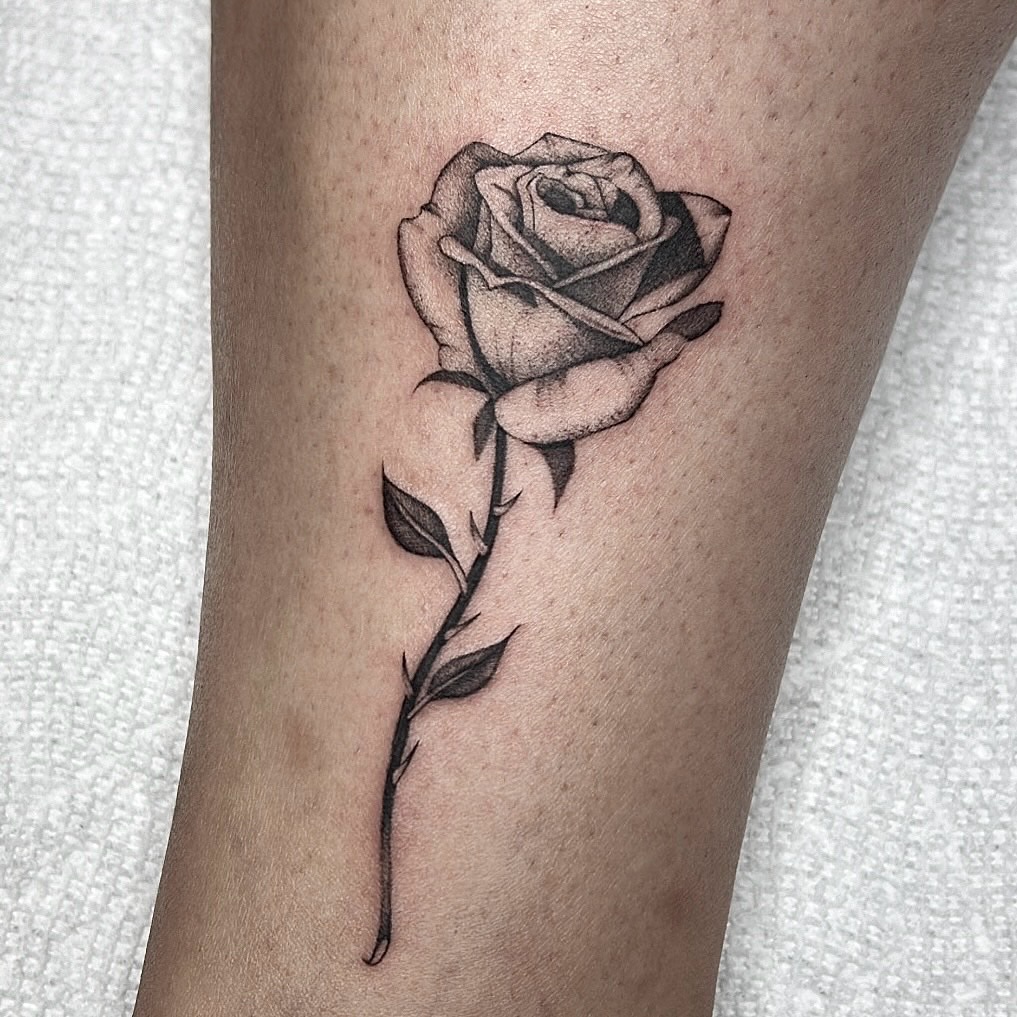 Flower, Rose