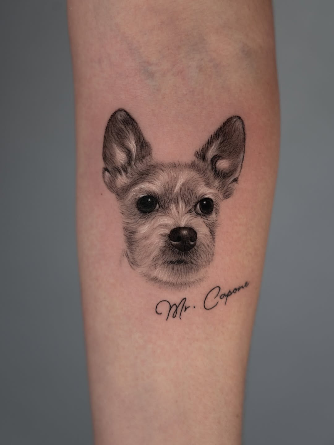 lewis.tattoo