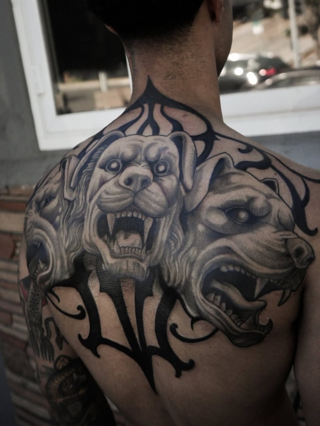 Tiger