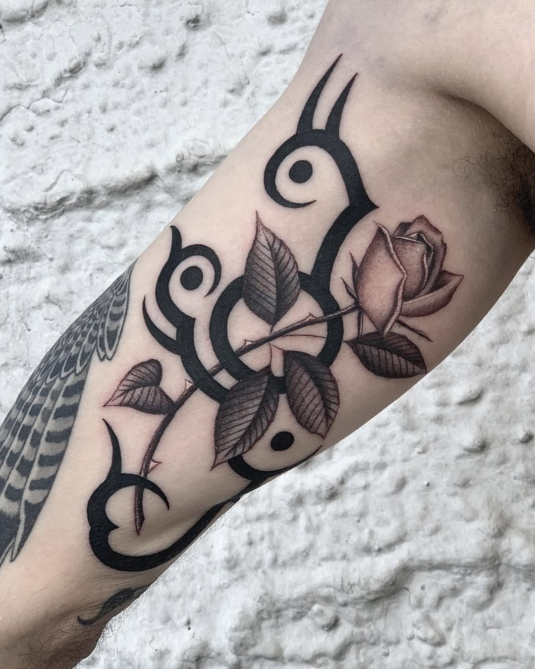 Rose, Flower