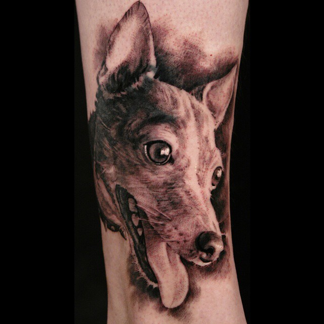 Animal