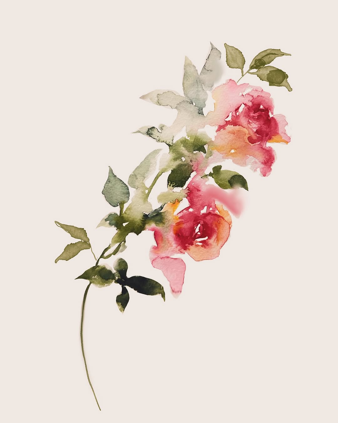 Flower, Rose