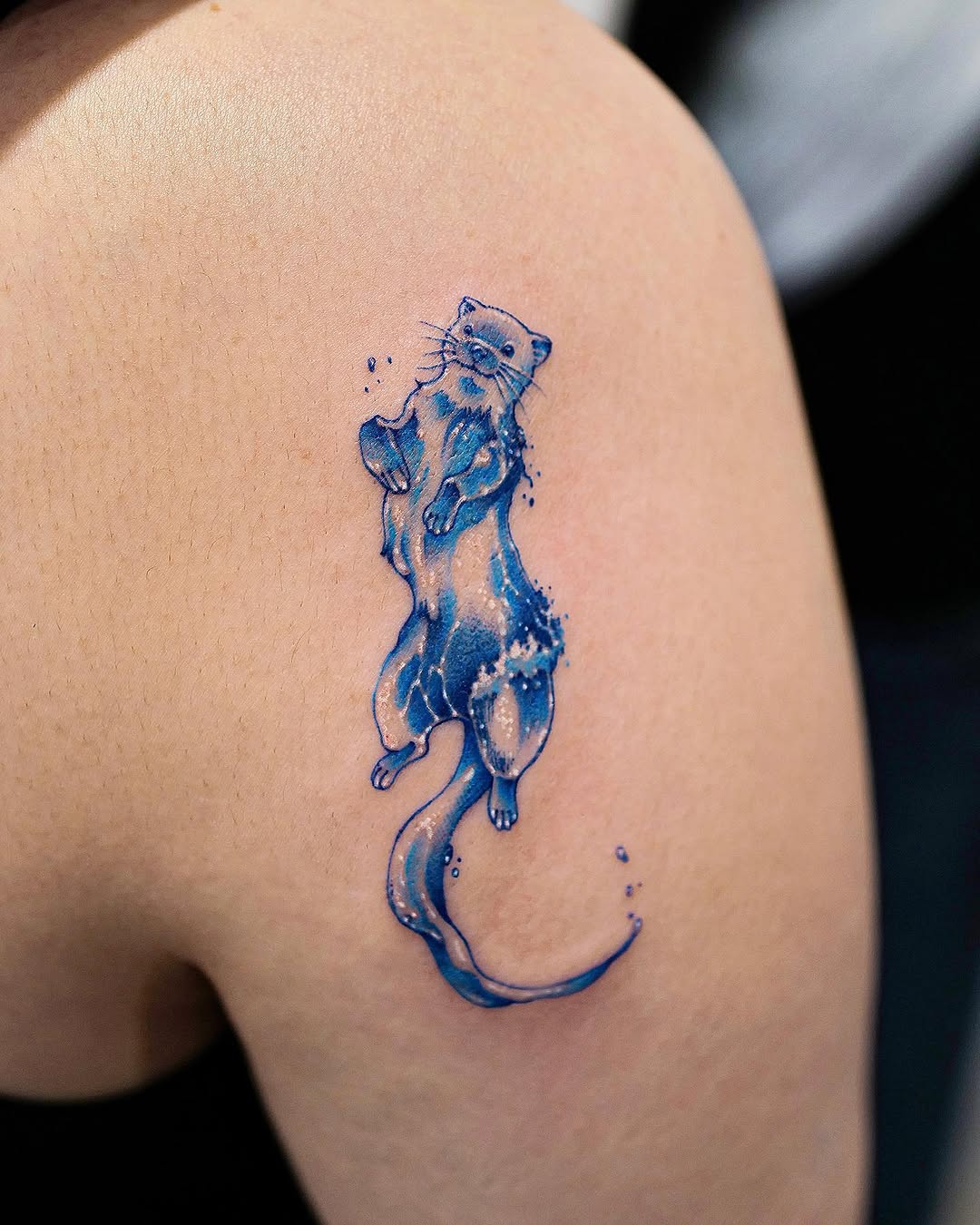 Dragon, Animal