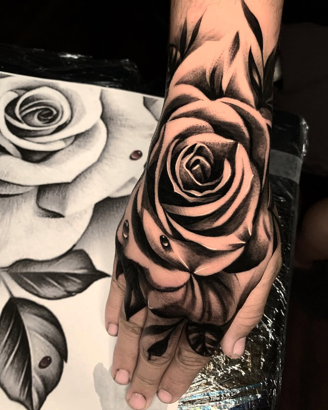 Flower, Rose