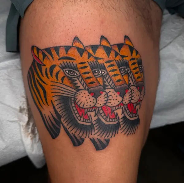 Tiger, Animal