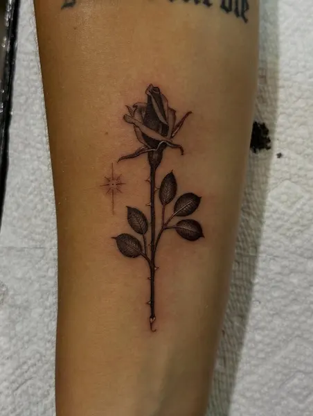 Flower, Rose