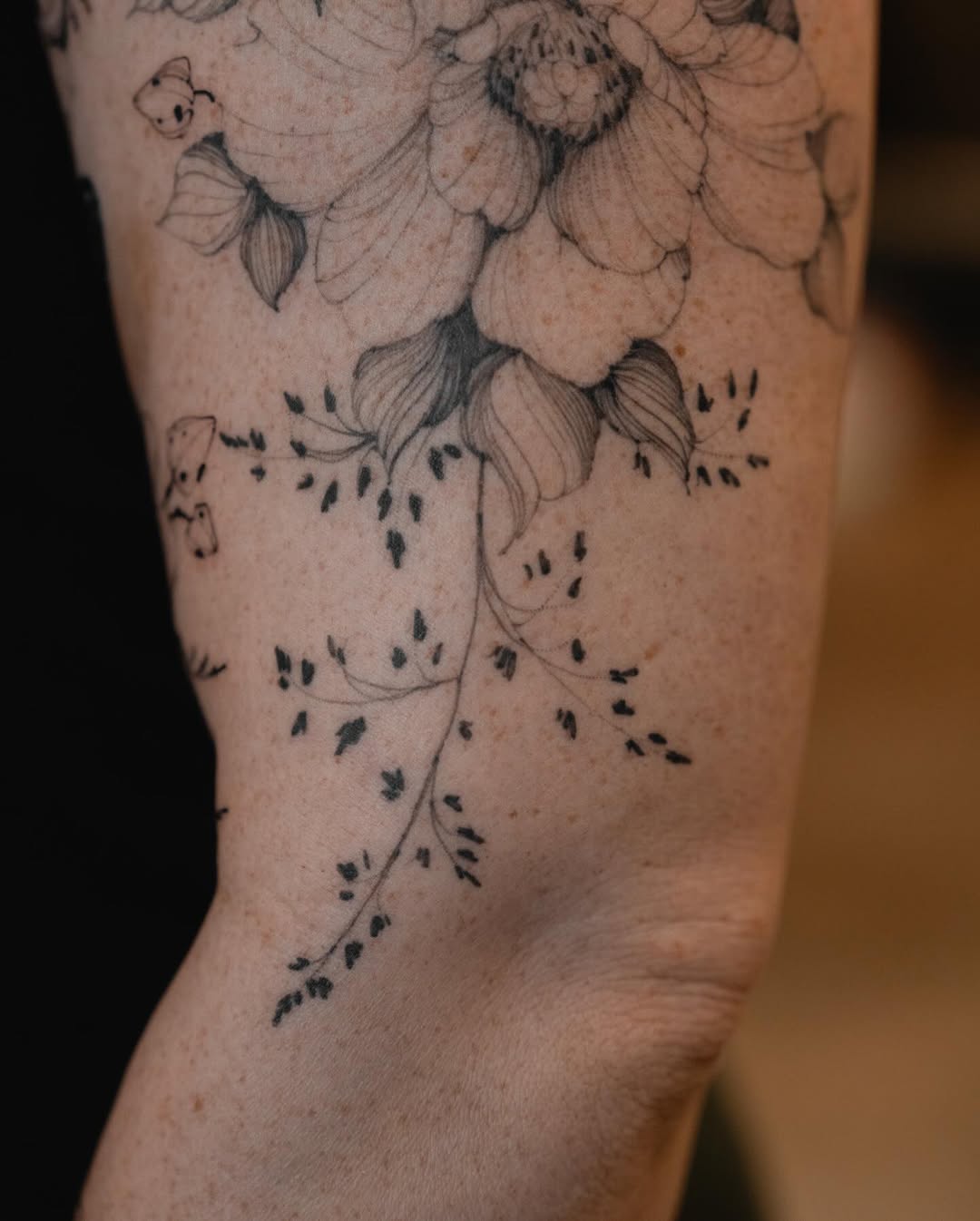 Flower, Rose